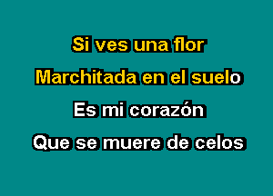 Si ves una flor

Marchitada en el suelo

Es mi corazdn

Que se muere de celos