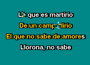 LEE! que es manirio

De un campaflirio

El que no sabe de amores

Llorona, no sabe