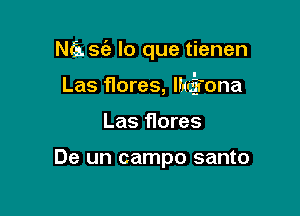 Ntf-s. sc'e lo que tienen

Las flores, lfxcfona

Las Hores

De un campo santo