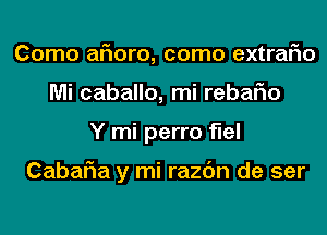 Como afmro, como extraFIo
Mi caballo, mi rebario
Y mi perro flel

CabaF1a y mi razc'm de ser