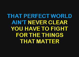 THAT PERFECT WORLD
AIN'T NEVER CLEAR
YOU HAVE TO FIGHT

FOR THETHINGS
THAT MATTER