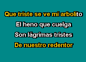 Que triste se ve mi arbolito
El heno que cuelga
Son lagrimas tristes

De nuestro redentor