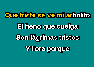 Que triste se ve mi arbolito

El heno que cuelga

Son lagrimas tristes

Y Ilora porque
