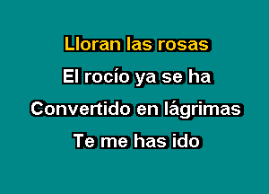 Lloran las rosas

El rocio ya se ha

Convertido en lagrimas

Te me has ido