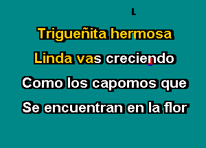 Triguefiita hermosa
Linda vas creciendo

Como los capomos que

Se encuentran en la flor

g