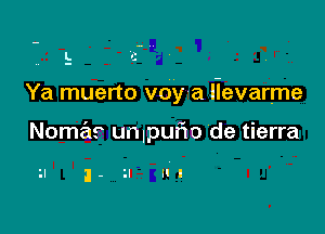 Ya muerto voy a llevarme

Nomas unlpuflo de tierra