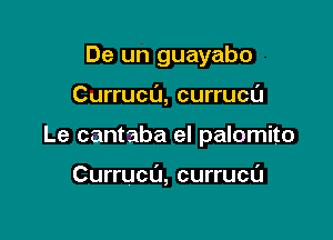 De un guayabo

Currucu, currucu

Le cantaba el palomito

Currucu, currucu