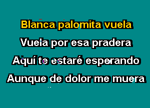 Blanca palomita vuela
Vueia por esa pradera
Aqui t3 estaniz esperando

Aunque de dolor me muera