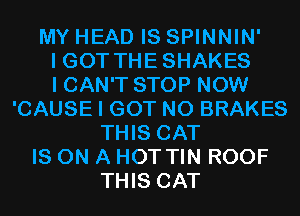 MY HEAD IS SPINNIN'
I GOT THE SHAKES
I CAN'T STOP NOW
'CAUSE I GOT N0 BRAKES
THIS CAT
IS ON A HOT TIN ROOF
THIS CAT