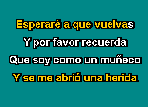 Esperanza a que vuelvas
Y por favor recuerda
Que soy como un muF1eco

Y se me abric') una herida