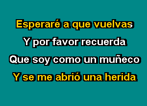 Esperanza a que vuelvas
Y por favor recuerda
Que soy como un muF1eco

Y se me abric') una herida