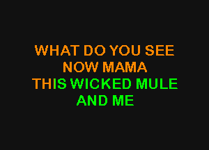 WHAT DO YOU SEE
NOW MAMA

THIS WICKED MULE
AND ME