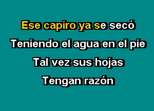 Ese capiro ya se secc')

Teniendo el agua en el pie

Tal vez sus hojas

Tengan razdn