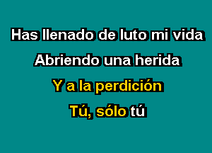 Has Ilenado de luto mi Vida

Abriendo una herida

Y a la perdicidn

T(J, sdlo t0