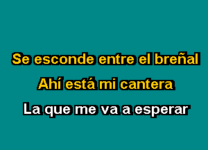 Se esconde entre el breFIaI

Ahi esta mi cantera

La que me va a esperar