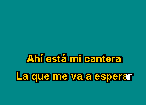 Ahi esta mi cantera

La que me va a esperar