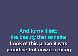 And turns it into
the beauty that remains
Look at this place it was
paradise but now ifs dying