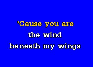 'Cause you are
the Wind

be neath my wings