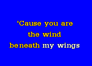 'Cause you are
the Wind

be neath my wings