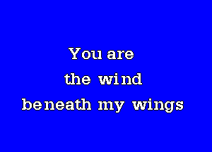 You are
the Wind

be neath my wings