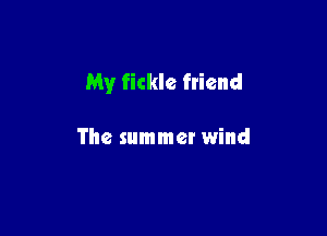 My fickle friend

The summer wind