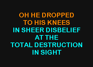 0H HE DROPPED
TO HIS KNEES
IN SHEER DISBELIEF
AT THE
TOTAL DESTRUCTION
IN SIGHT