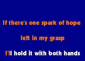 If there's one spark of hope

left in my grasp

I'll hold it with both hands