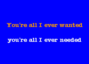 You're all I ever wanted

you're all I ever needed