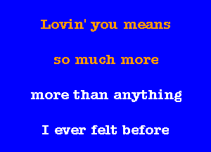 Lovin' you means
so much more
more than anything

I ever felt before