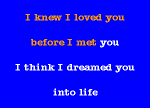 I knew I loved you
before I met you
I think I dreamed you

into life