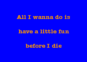 All I wanna do is

have a little fun

before I die