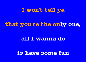 I wont tell ya
that you're the only one,
all I wanna do

is have some fun