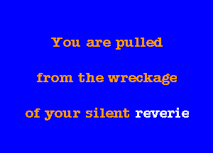 You are pulled
from the wreckage

of your silent reverie