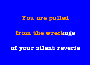 You are pulled
from the wreckage

of your silent reverie