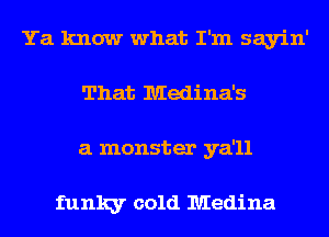 Ya know what I'm sayin'
That Medina's
a monster ya'll

funky cold Medina