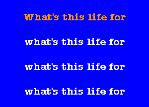 1What's this life for
what's this life for

what's this life for

what's this life for l