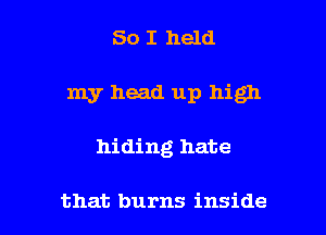 So I held

my head up high

hiding hate

that burns inside