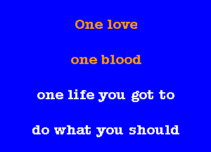 One love

one blood

one life you got to

do what you should