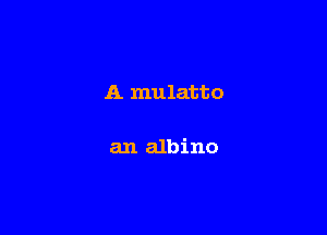 A mulatto

an albino