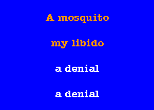A mosquito

my libido
a denial

a denial