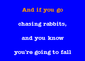 And if you go
chasing rabbits,

and you know

you're going to fall