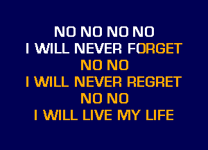 NO NO NO NO
I WILL NEVER FORGET
NO NO
I WILL NEVER REGRET
NO NO
I WILL LIVE MY LIFE