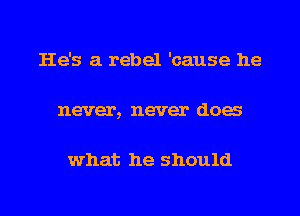 He's a rebel 'oause he
never, never does

what he should

g