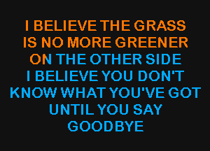 I BELIEVE THE GRASS
IS NO MORE GREENER
ON THE OTHER SIDE
I BELIEVE YOU DON'T
KNOW WHAT YOU'VE GOT
UNTILYOU SAY
GOODBYE