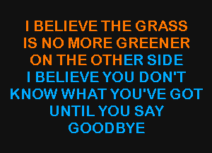 I BELIEVE THE GRASS
IS NO MORE GREENER
ON THE OTHER SIDE
I BELIEVE YOU DON'T
KNOW WHAT YOU'VE GOT
UNTILYOU SAY
GOODBYE