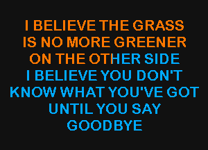 I BELIEVE THE GRASS
IS NO MORE GREENER
ON THE OTHER SIDE
I BELIEVE YOU DON'T
KNOW WHAT YOU'VE GOT
UNTILYOU SAY
GOODBYE