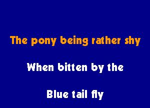 The pony being rather shy

When bitten by the

Blue tail 11y