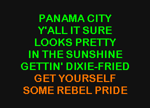 PANAMA CITY
Y'ALL IT SURE
LOOKS PRETTY
IN THESUNSHINE
GETTIN' DIXlE-FRIED
GET YOURSELF
SOME REBEL PRIDE