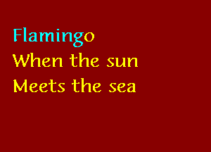 Flamingo
When the sun

Meets the sea