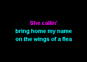 She callin'

bring home my name
on the wings of a flea